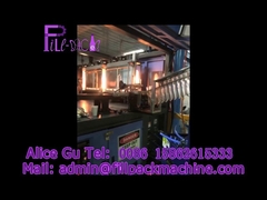 Five gallon automatic bottle blowing machine